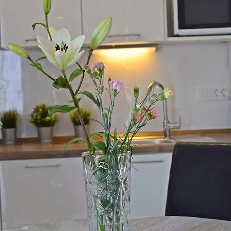 Marko Apartment